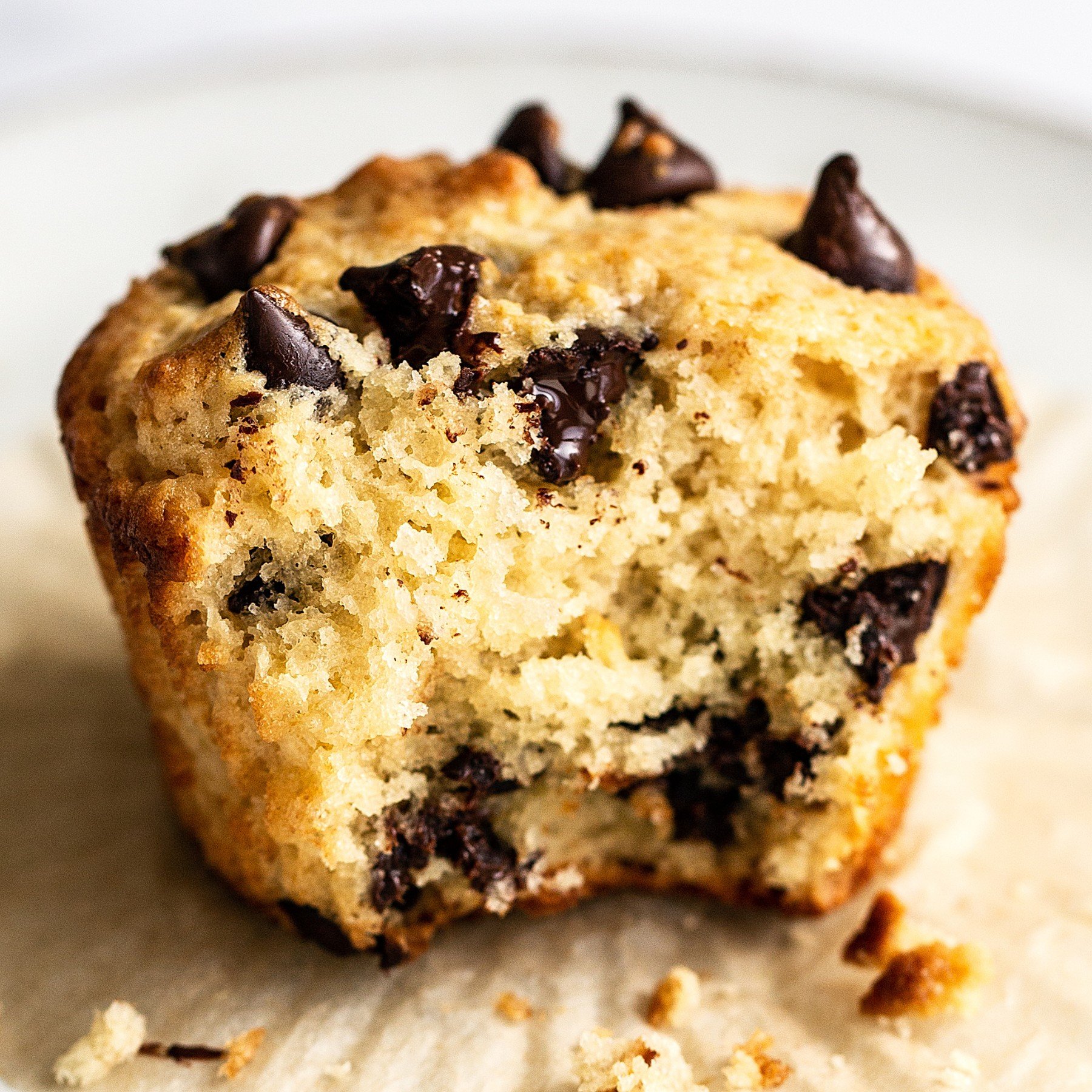 Chocolate Chip Muffins