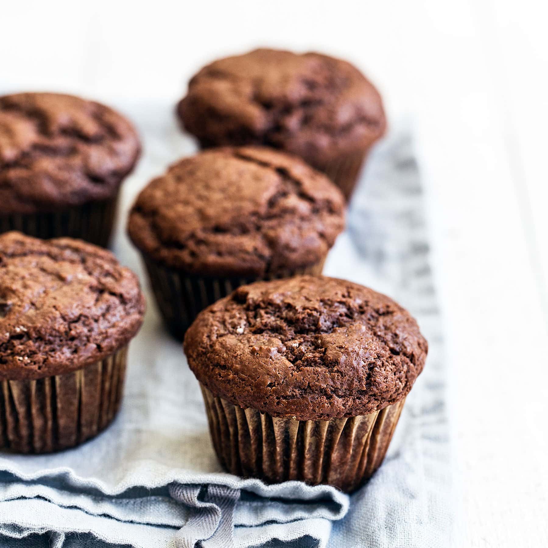 Double Chocolate Muffins