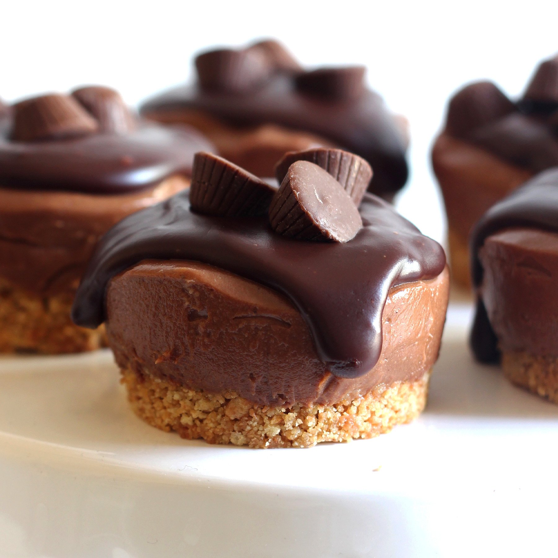 No Bake Mini Peanut Butter Cheesecakes