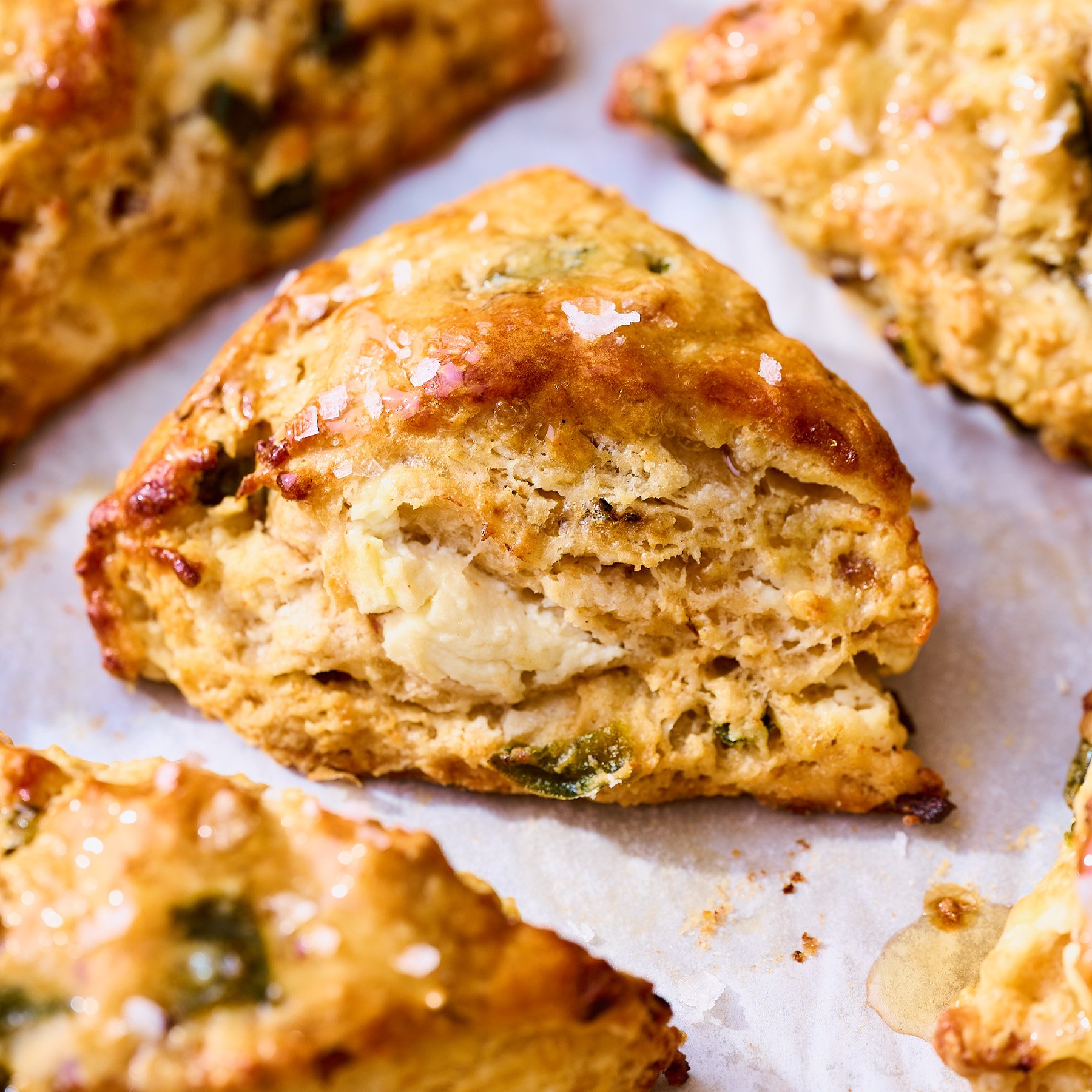 Shallot, Jalapeño, Goat Cheese & Honey Scones