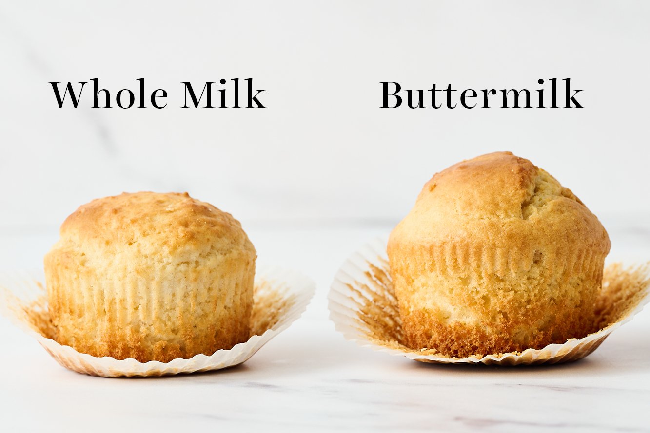 two muffins beside each other, one made with whole milk and one made with buttermilk, with the muffin liners pulled down to see the structure of the muffin better