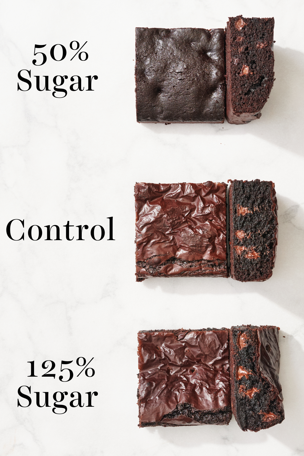 slices of each test batch both from above and the side, to compare their top crust and also their inner textures.